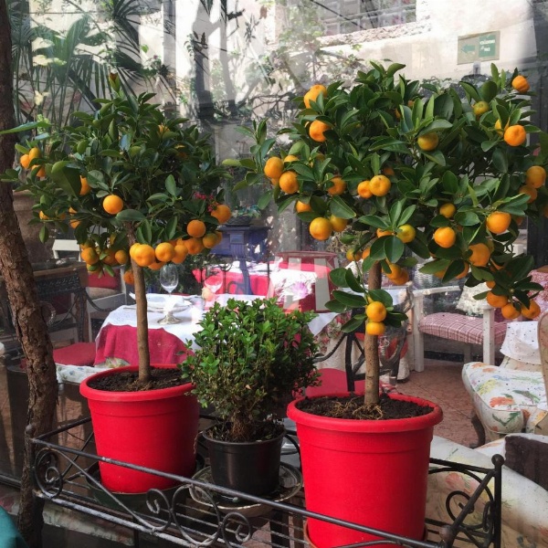 Hotel Gabbia D'Oro image 21